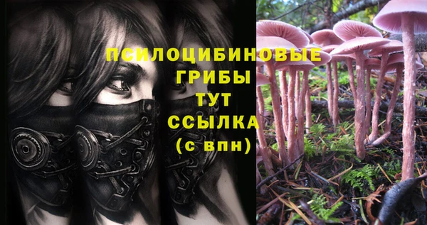 соль ск Лабытнанги