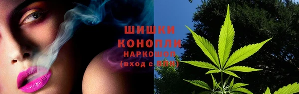 соль ск Лабытнанги