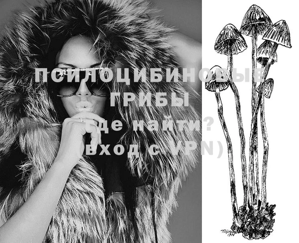 соль ск Лабытнанги