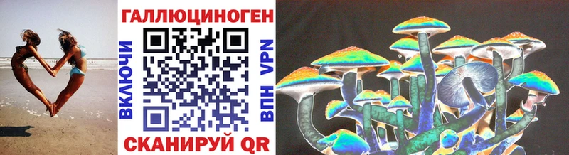 наркотики Шали Псилоцибиновые грибы Cubensis