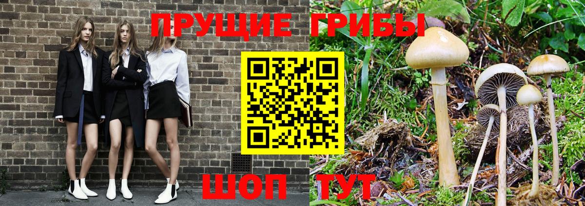ГАШ  Шали  МЕФ   МАРИХУАНА  Меф  Вход с VPN 