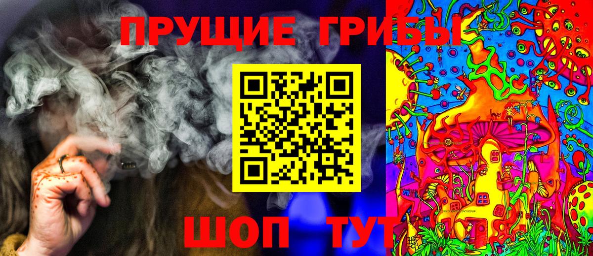 Галлюциногенные грибы Cubensis Шали